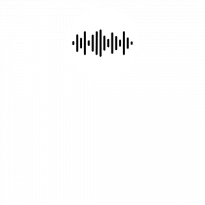 L'importance de l'audio dans votre salle visio