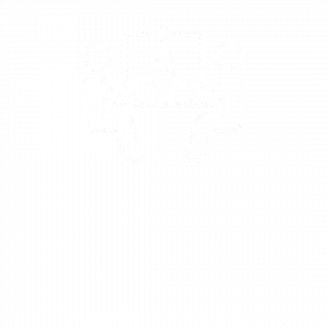 Salle du conseil en visio